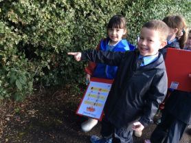 Year 1 & 2 Autumn Walk