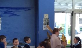Easter news: The Stations of the Cross, The Easter bonnet parade and the raffle in aid of Trocaire.