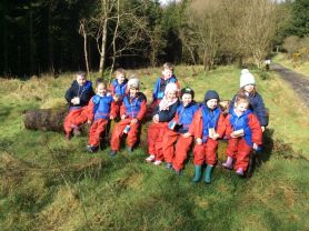 Woodland Adventure