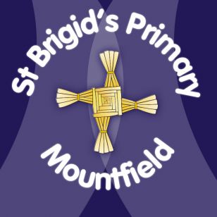 Sports Day at St.Brigid's PS